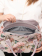 HS05-625PION