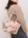 HS05-673PION